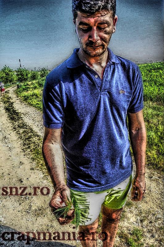 Party Cup (2) - 2013 - 1010585-2hdrmode2.JPG